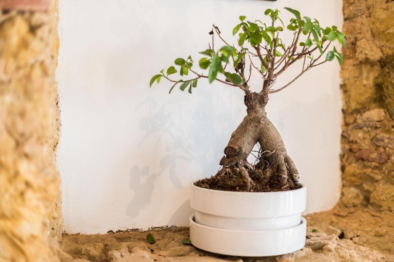 Alfama Design Villa Lisboa Eksteriør billede